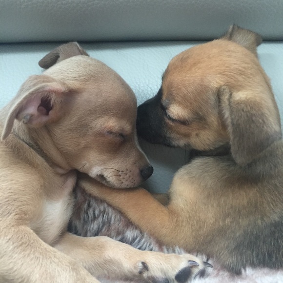 Meet your Posher, Andrea - Picture 1 of 2